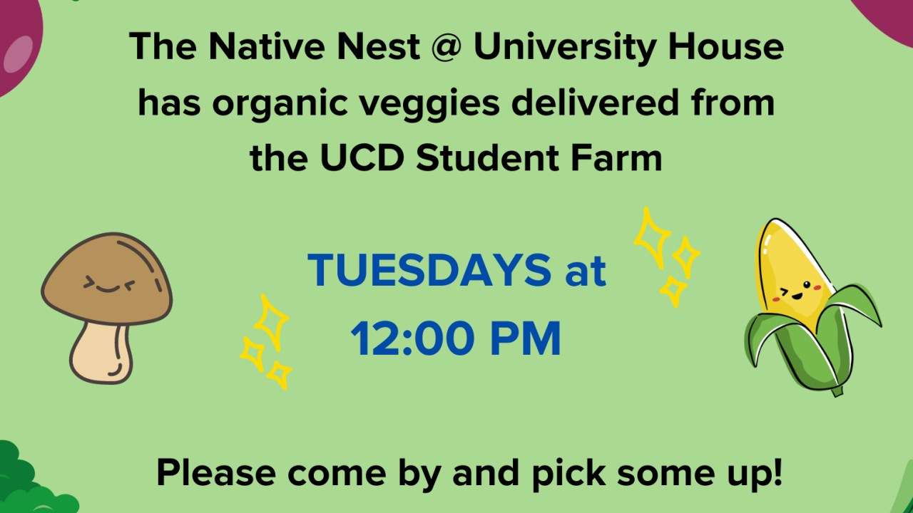 Flier for Veggie Up! Drop-Off